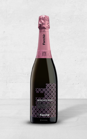 Alehandro Group | Wine Shop | Alehandro Wine Shop