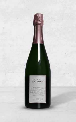 Alehandro Group | Wine Shop | Alehandro Wine Shop