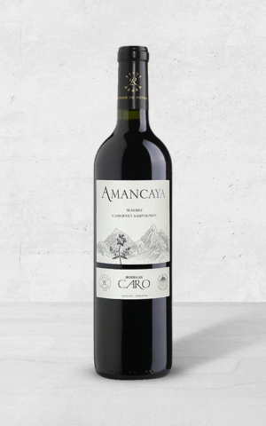 Alehandro Group | Wine Shop | Alehandro Wine Shop