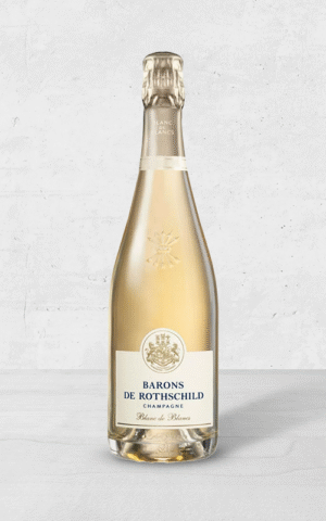Alehandro Group | Wine Shop | Alehandro Wine Shop