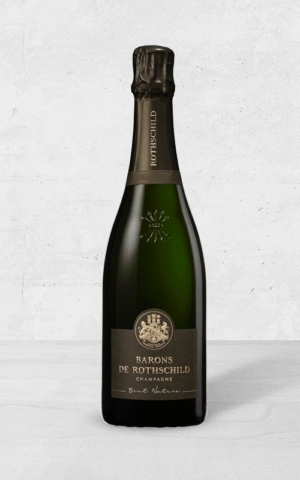 Alehandro Group | Wine Shop | Alehandro Wine Shop